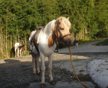 t02200179_0691056313442323981