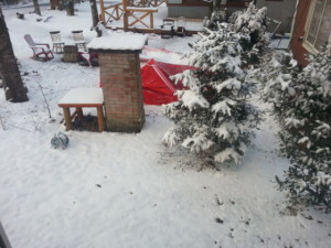 20141222_074803-560x420